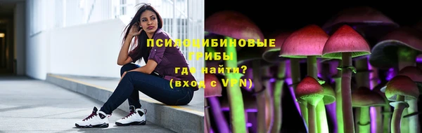 эйфоретик Липки