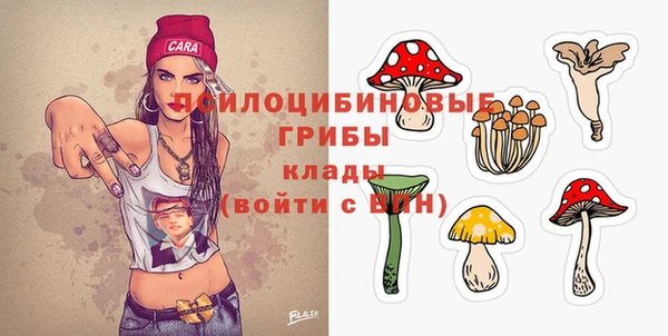 ГАЛЛЮЦИНОГЕННЫЕ ГРИБЫ Лихославль