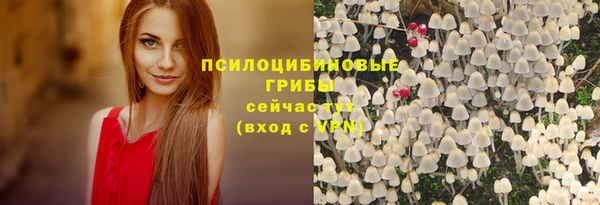 твердый Корсаков